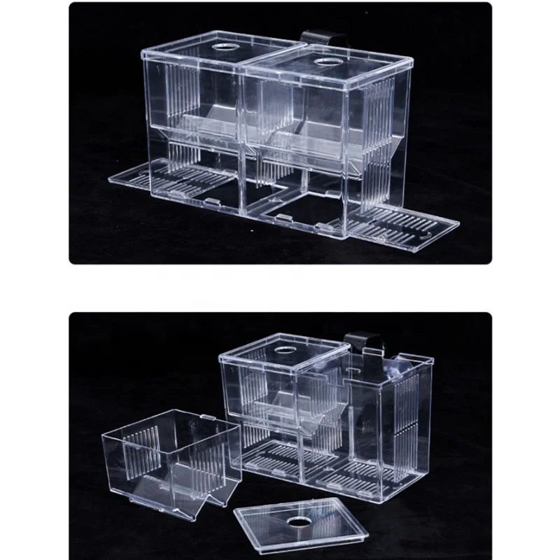 Aquarium Fish Tank LED Three Divisions Isolation Box Small Fishes Breeding Acrylic (Purple