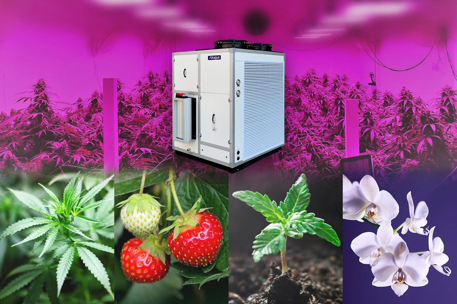 No Moq Agriculture Grow Optimized Indoor Farming Grow Room Glassroom