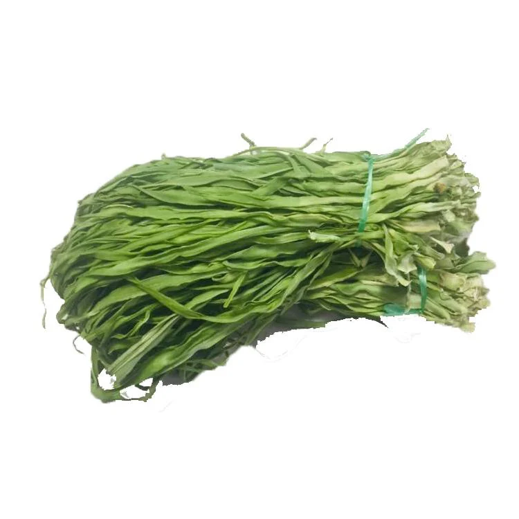 Chinese Dried Gong Chi Vegetables Dried Yamakurage For Restaurant Buy Dried Yamakurage,Gongcai