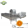 Food grade Stainless Steel 304 Spinach/Strawberry/Food Washing Machine