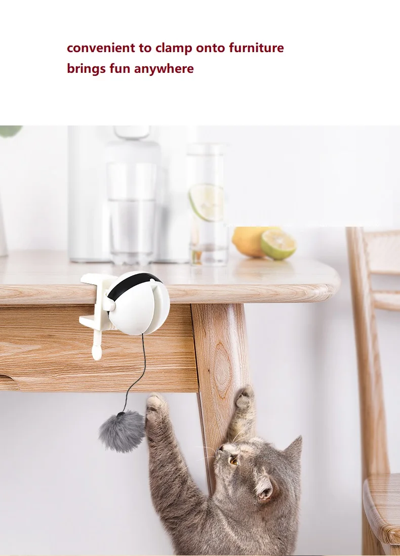 Interactive Ascending And Descending Cat Toy Hang Anywhere Intermittent