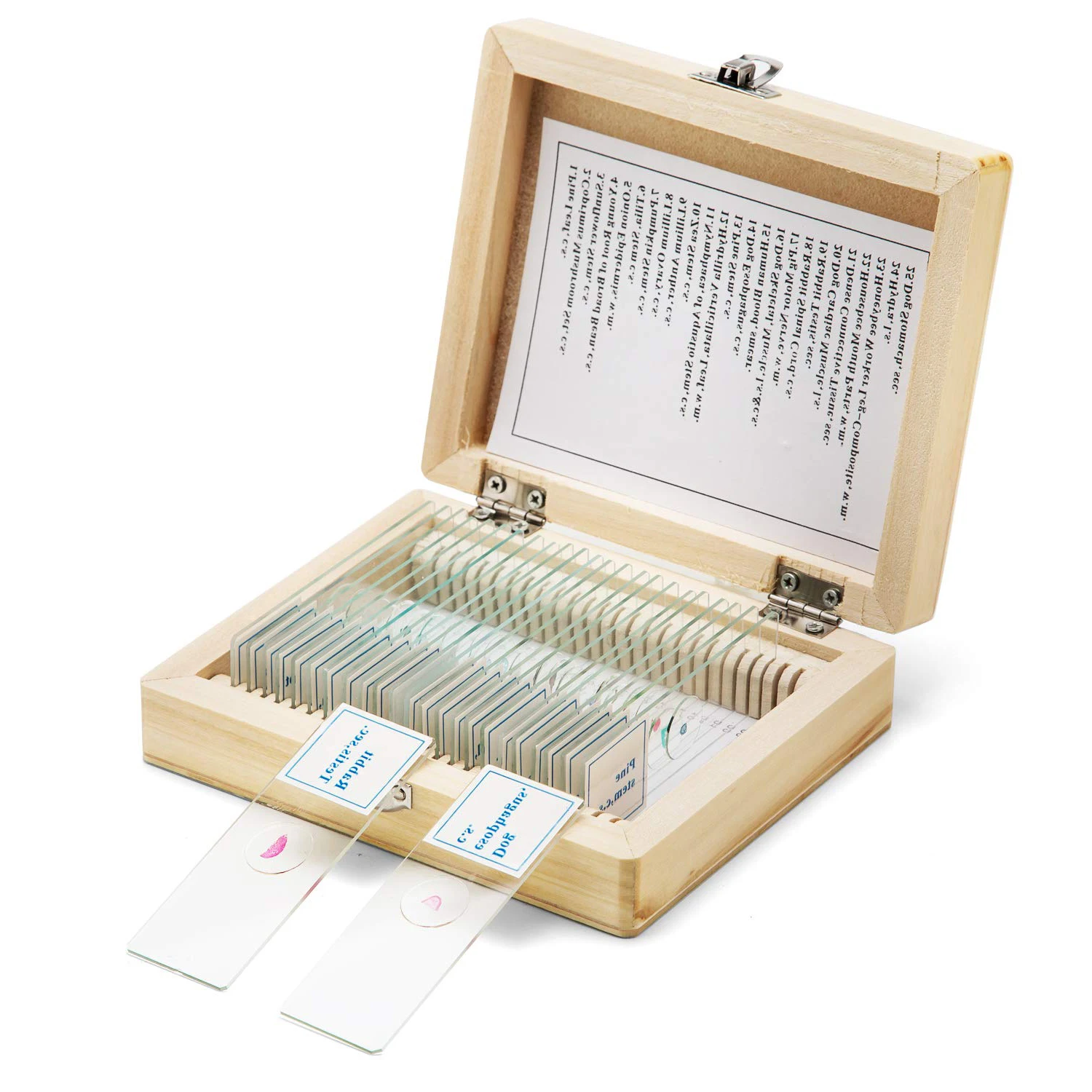 Geography Educational Mineral Thin Section 24 Pcs Prepared Microscope Slides Set