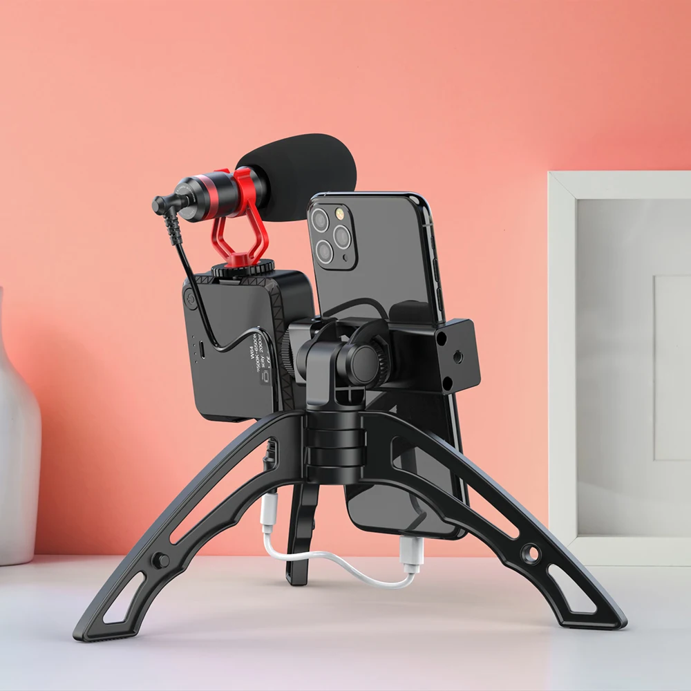 Profesional Rekaman Mikrofon Dengan Lampu Led Untuk Lampu Video Kamera Tripod Berdiri Untuk Ponsel Buy Profesional Rekaman Mikrofon Dengan Lampu Led Lampu Video Kamera Tripod Berdiri Untuk Ponsel Lampu Led Untuk Lampu Video