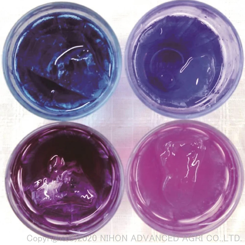 
Oxidation resisting most popular dried flower suppliers from japan 