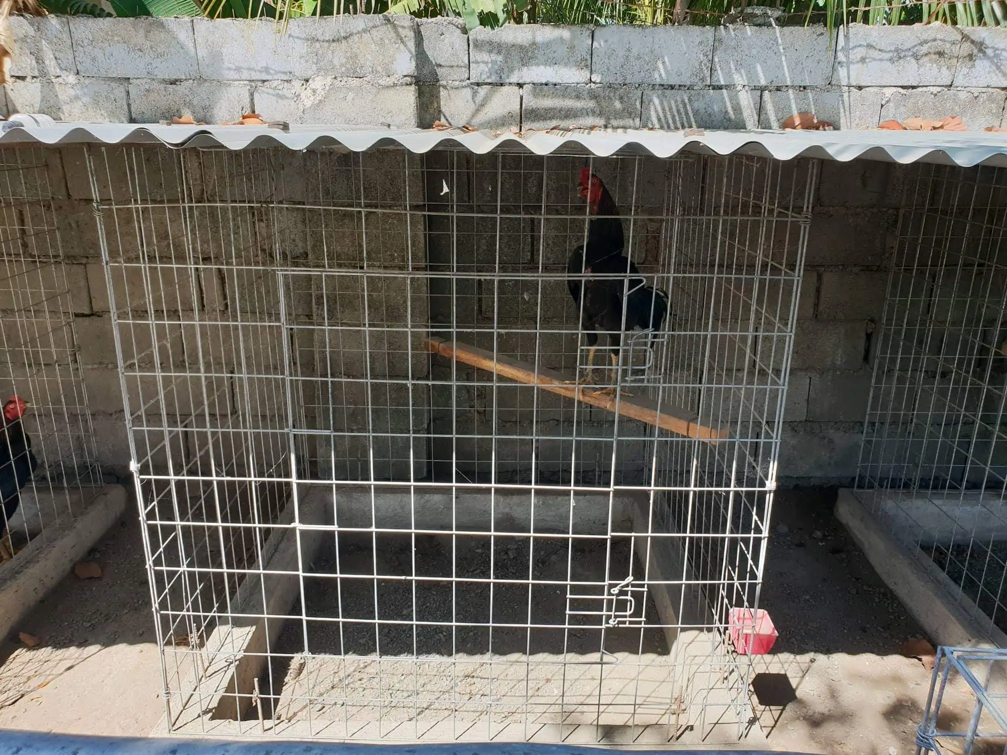 Chicken Pens And Galvanized Welded Wire Mesh Cage Buy Galvanized