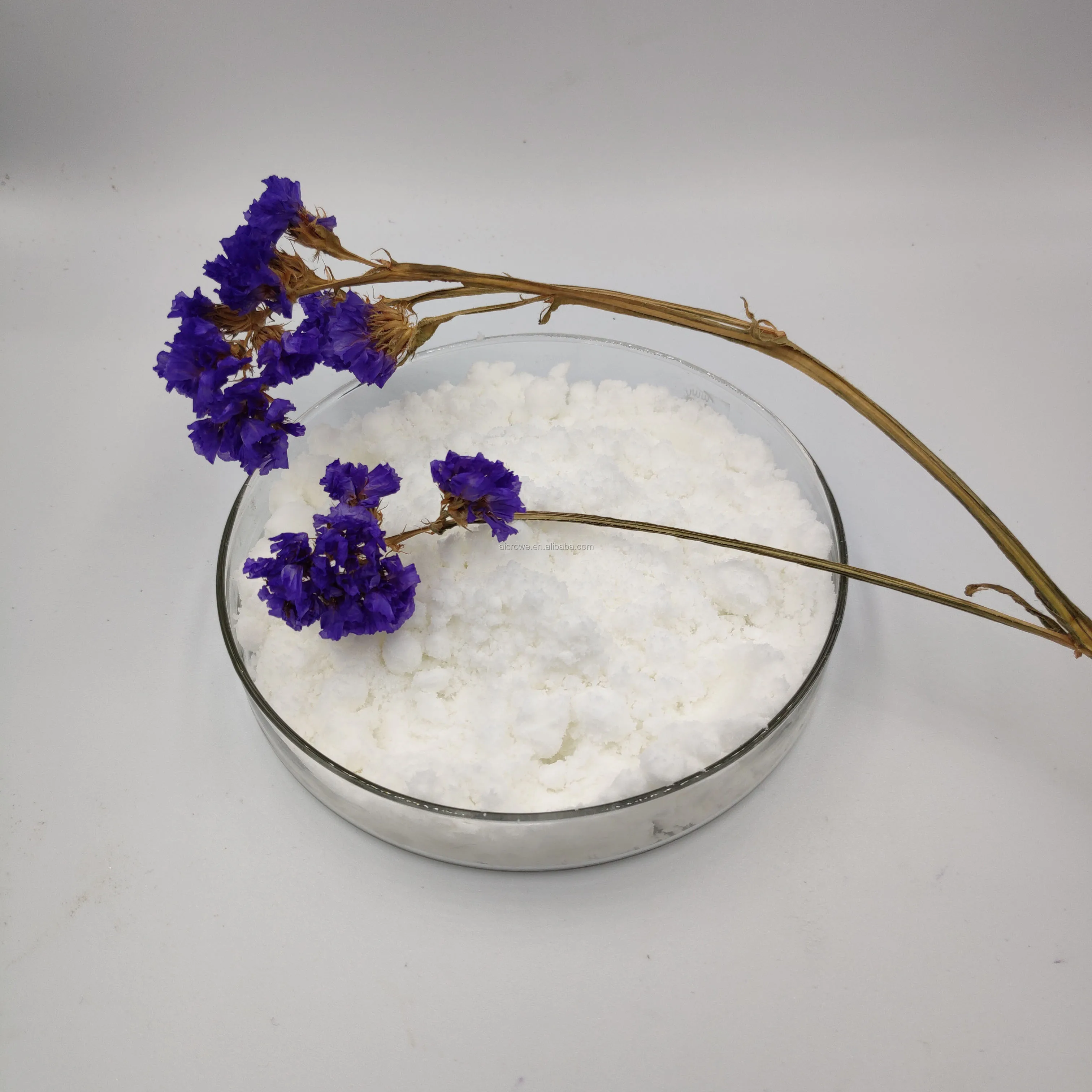 Article illustration