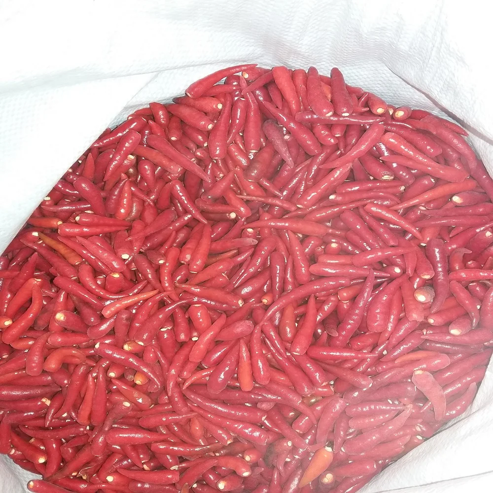 Frozen Chilli New Crop Top Grade Frozen Vegetables Bulk Bqf 18'c Cheap