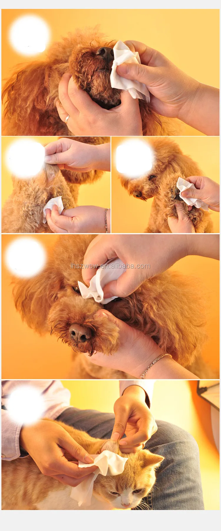 pet wipes4.jpg