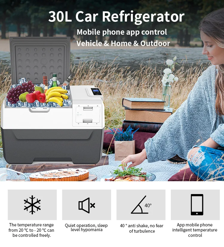 30L-car-refrigerator_01