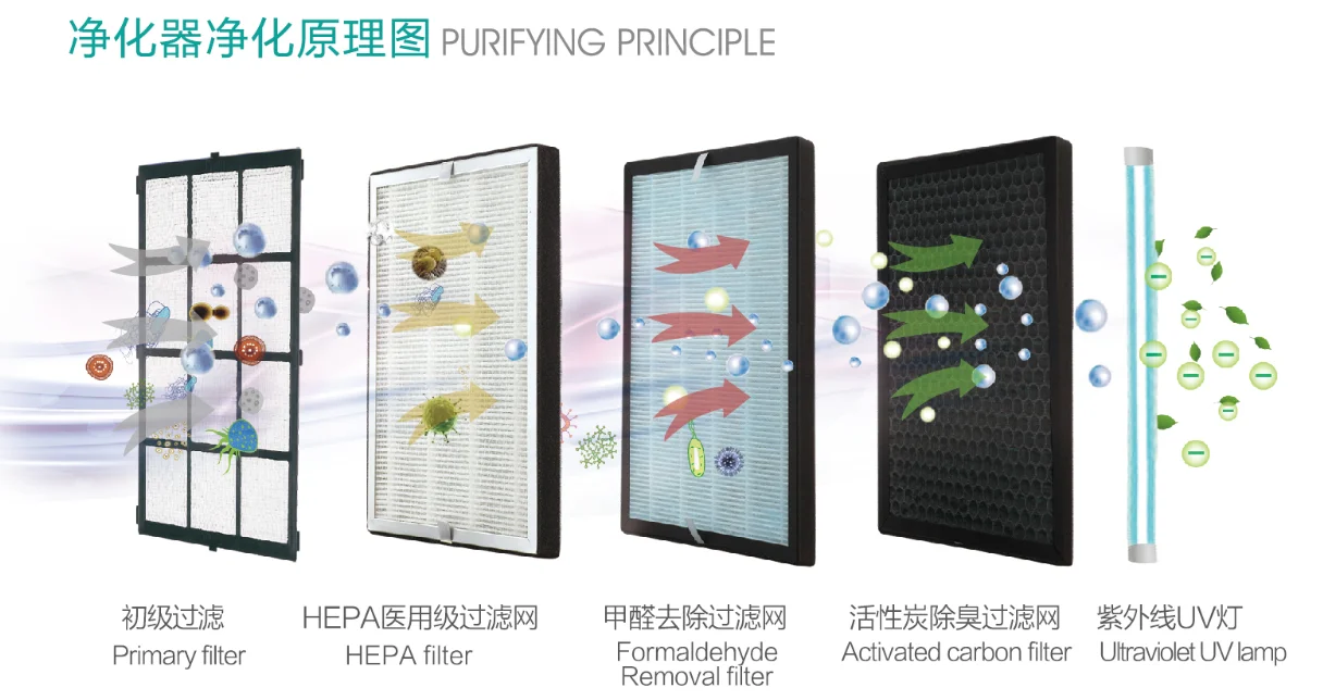 purifying principle 1.png