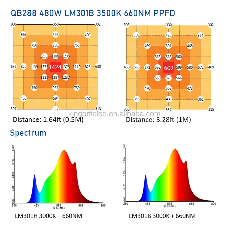 QB288-480WB-660.jpg