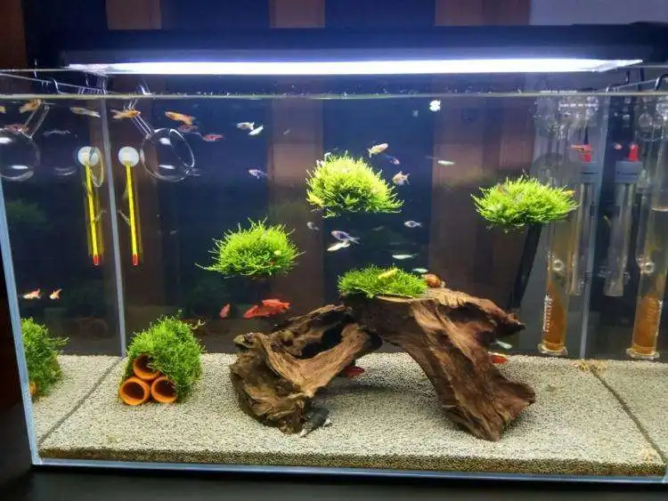 5000l50000l Customized Huge Glass Aquarium For Hotel And Market Buy