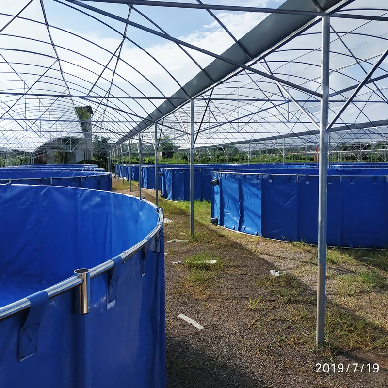 aquaponics complete system typical engineering fish farm