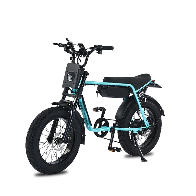 2025 ZX 20 Inch Fat Tires E-bike 48V 750W Electric Urban Bicycle