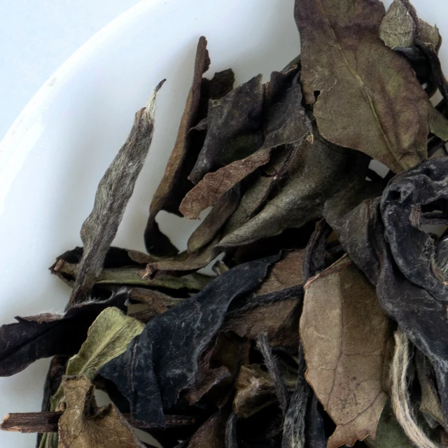 white pearl tea