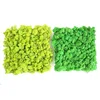 Wholesale yunnan indoor decoraitive Real Natural moss wall panel Reindeer Moss Panel