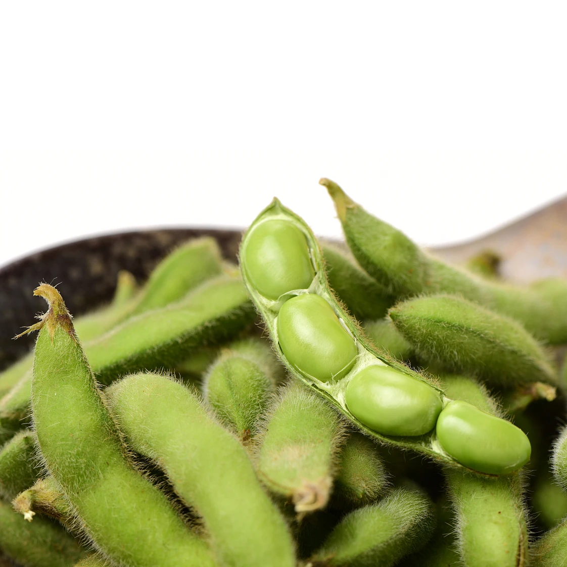wholesale high yield chinese vegetable edamame /green soybean