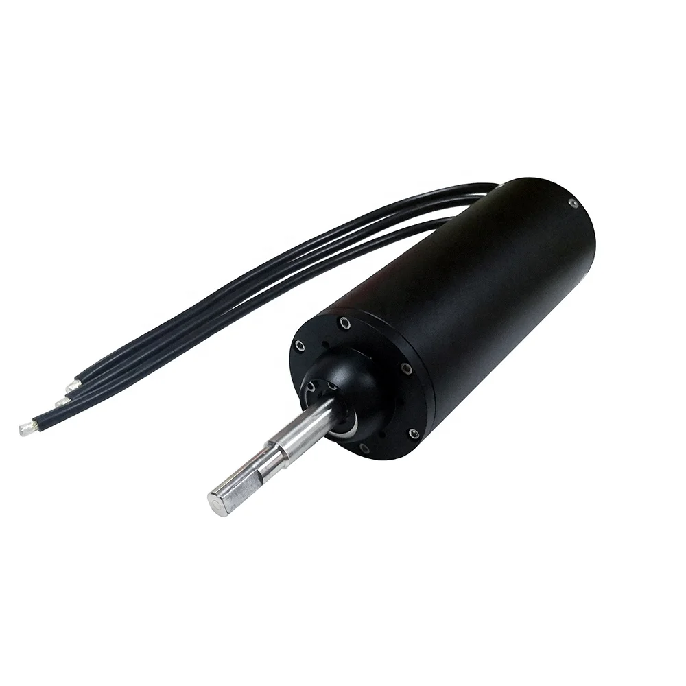 65mm 60kv Waterproof Submersible Electric Brushless Electric Trolling