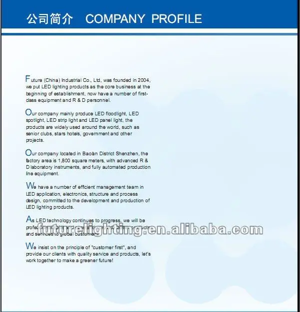 company profile