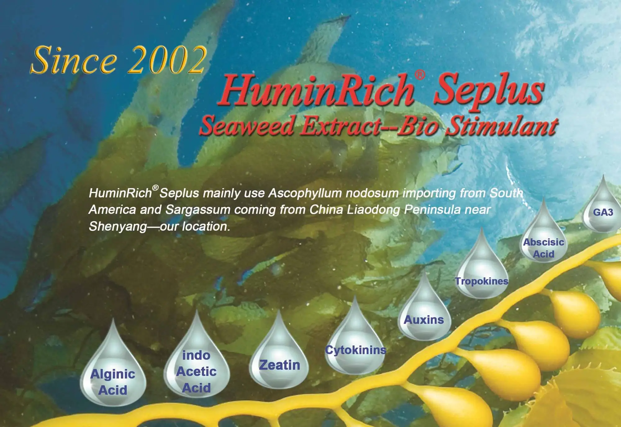 seaweed extract 1.jpg