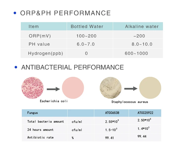 alkaline water bottle.jpg