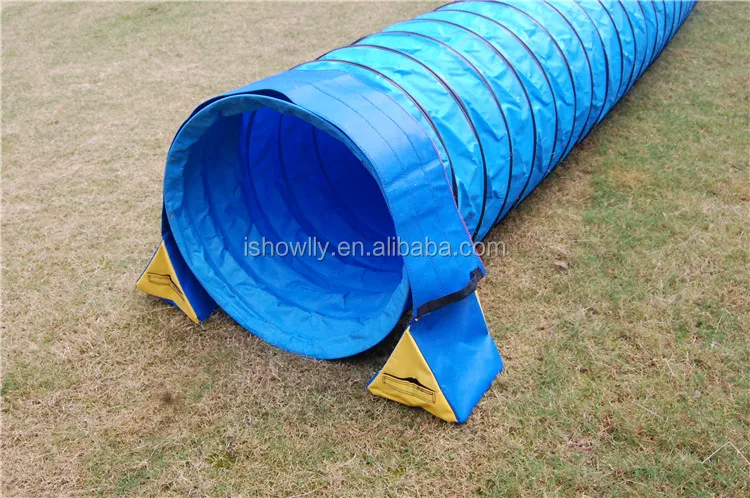 dog tunnel  (37).jpg