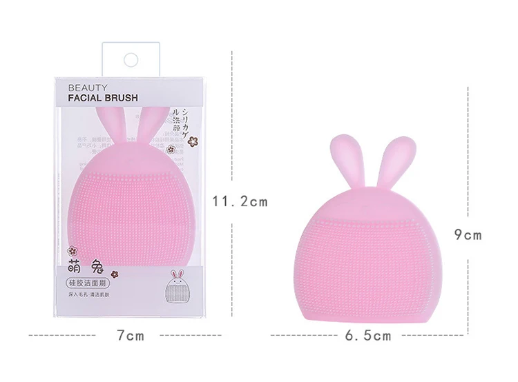 facial cleaning brush