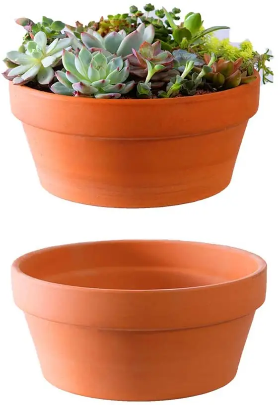 6 Inch Terracotta Shallow Succulent Pot - 2 Pack Terra Cotta Clay Pots