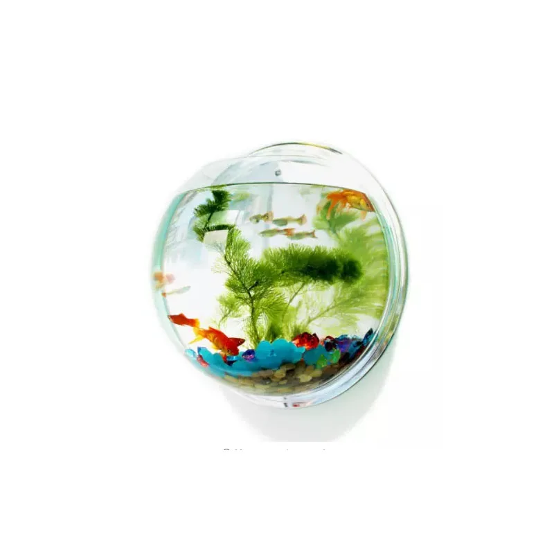 Acrylic Bowl Fish Tank Aquarium Wall Mounted Hanging Fish Bowl Buy