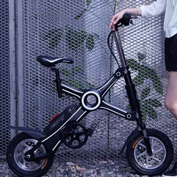 ebike with child seat