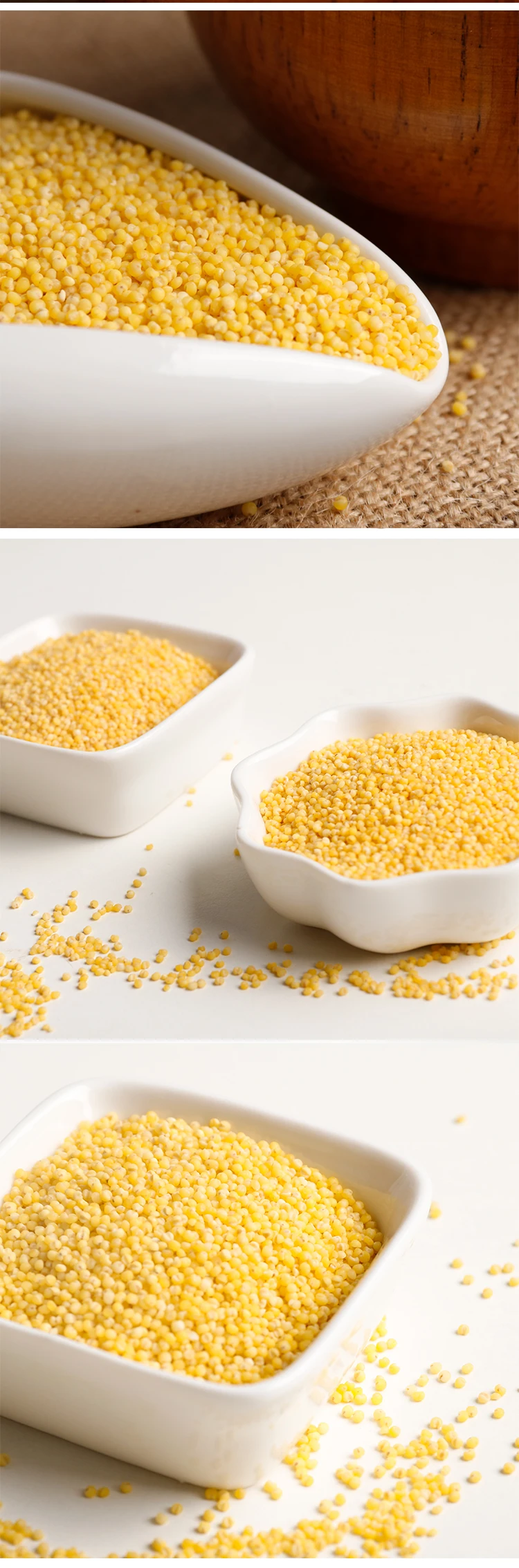 High Quality Seed Moulin Pour Yellow Millet With Good Price