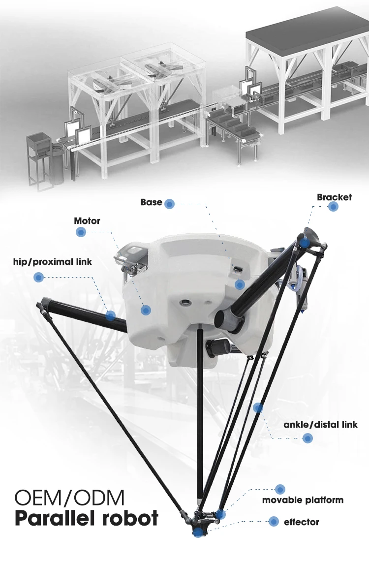 Delta-robot_07.jpg