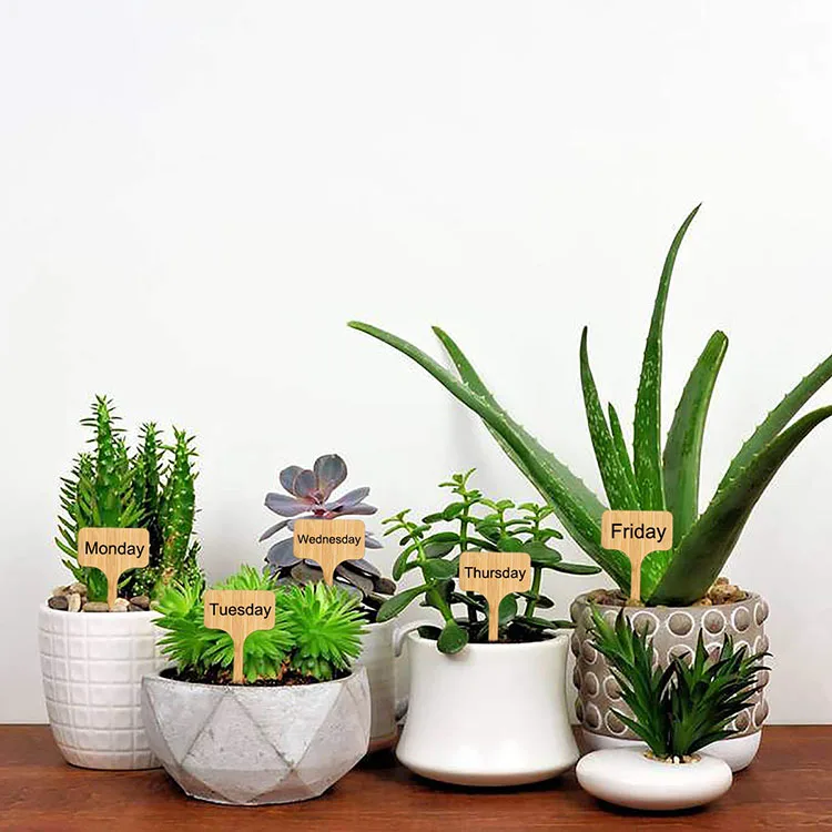 Garden Plant Labels Bamboo Nursery Markers T-type Plant Sign Tags