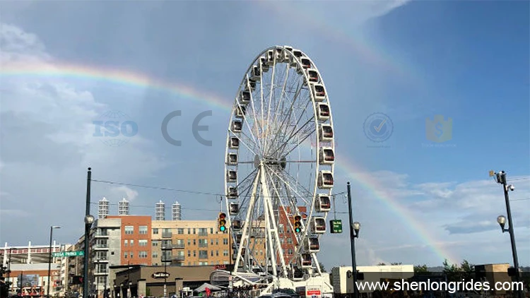 30mferris-wheel-case1