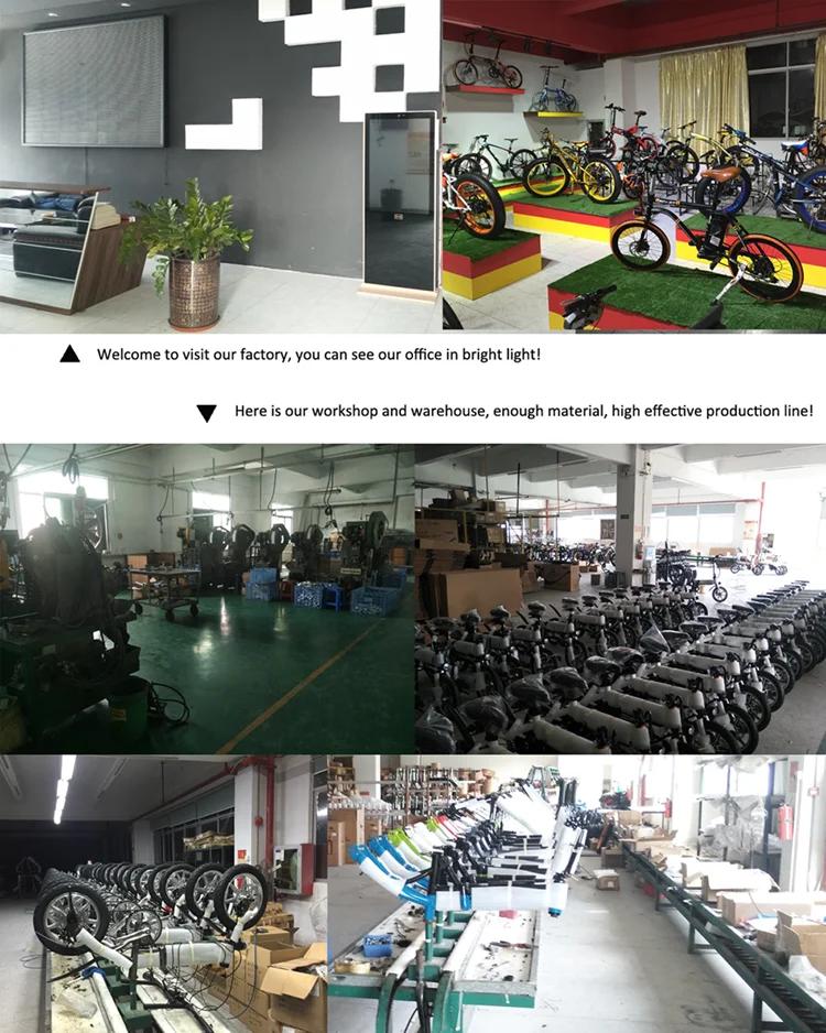 rich bit ebike factory (2).png