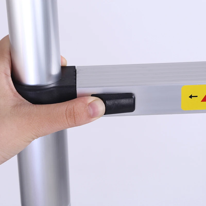 double telescopic ladder