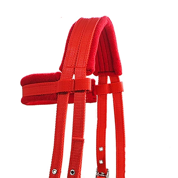 horse halter (2).jpg