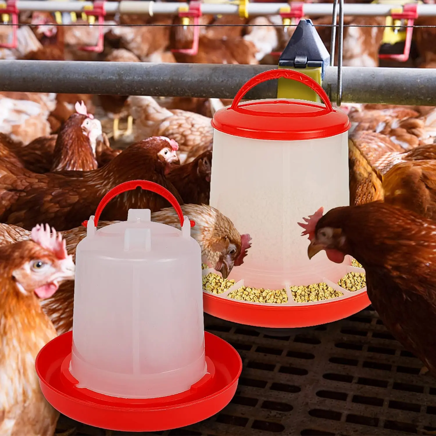 3 Lb Chicken Feeder and 1.5L Kit Automatic Hanging Poultry Plastic Containers 7" X 7" for Outdoor Farm Use supplier