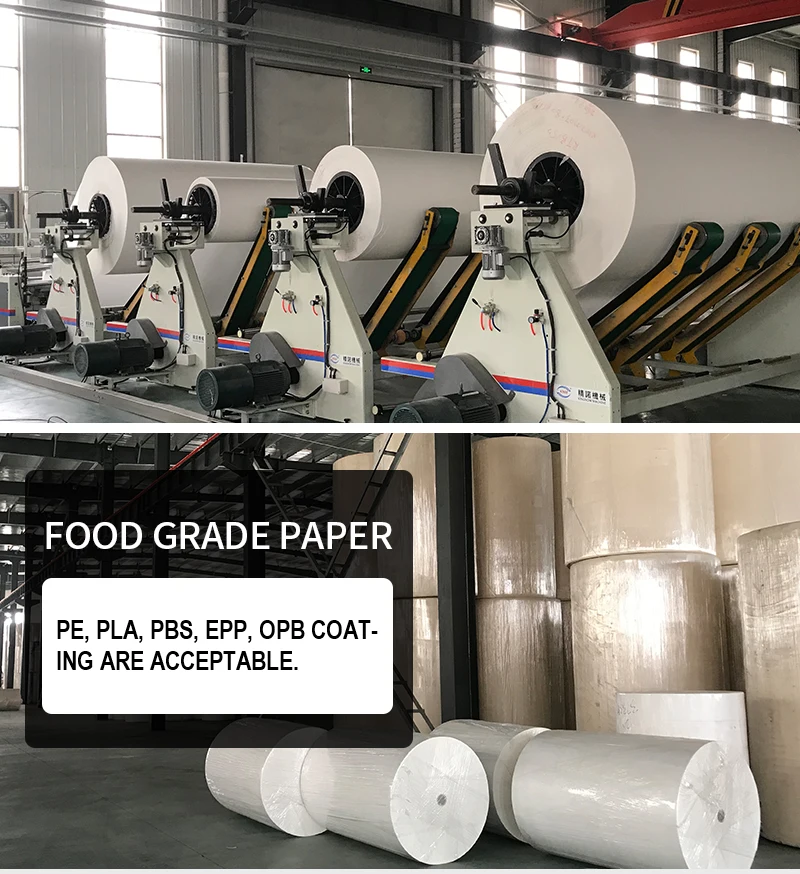 1 Paper Plate Material.jpg