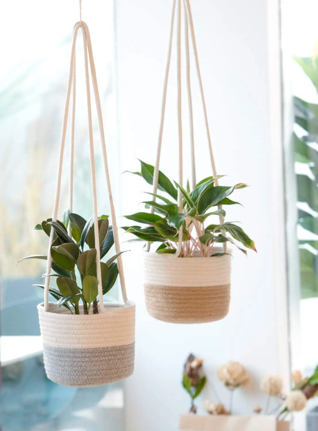 Modern Home Indoor Decor Up To 7 Pot Macrame Plant Hangers Cotton Rope Hanging Planter Woven Plant Basket Suspended Buy Wall Hanging Plant Basket Rope Plant Basket Suspended Woven Decorative Wall Hanging Baskets