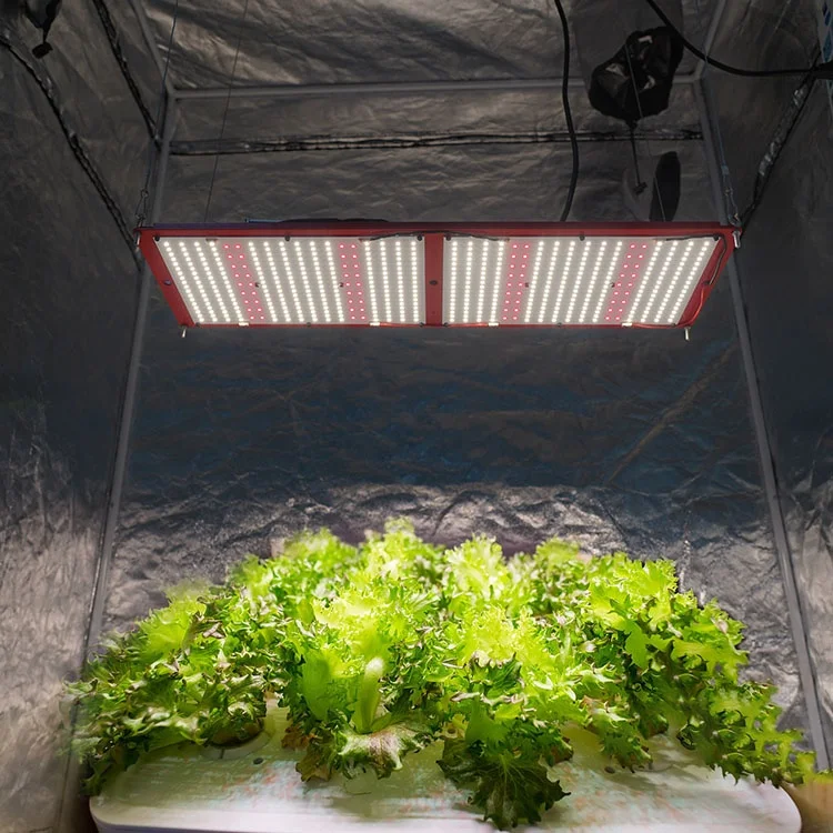 Shenzhen Fogrooo Hot Sale, Plant Grow Kit Grow Led Board Full Spectrum Led Grow Light Hydroponic For Vertical Farming