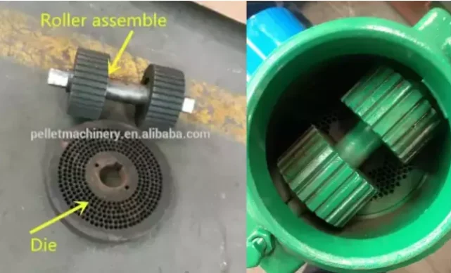 paste-pic-dp_uuid_khxlk