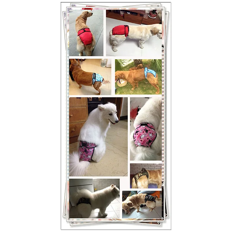 washable dog diapers