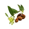 Jojoba Oil Bulk Good Price - 50ml - Best Natural Oil Moisturiser for Radiant Looking Skin