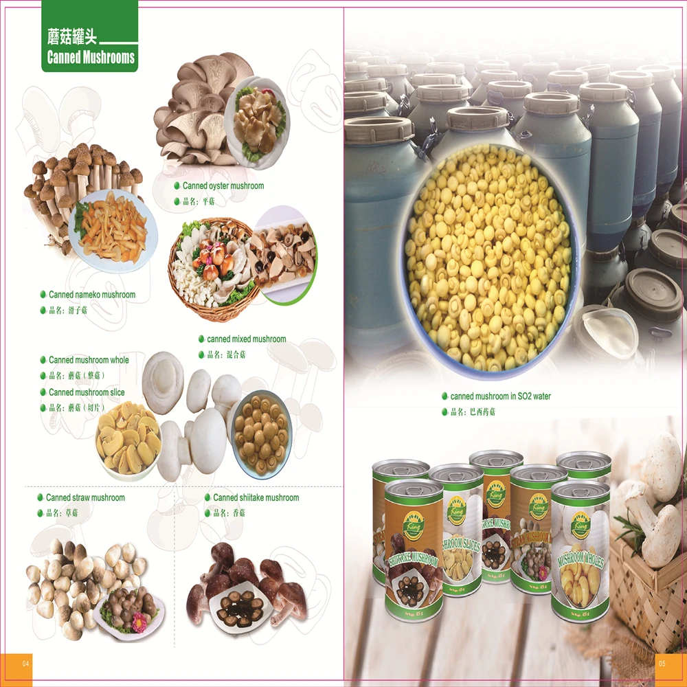 catalog 4