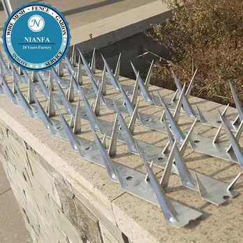 Galvanized Steel Spike/ Razor Barbed Wire Anti Climb Wall Spikes ...