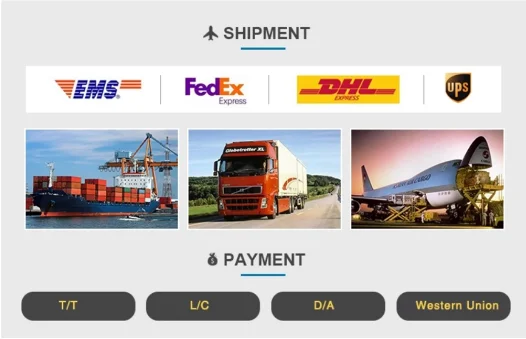 paste-pic-dp_uuid_ekcbi