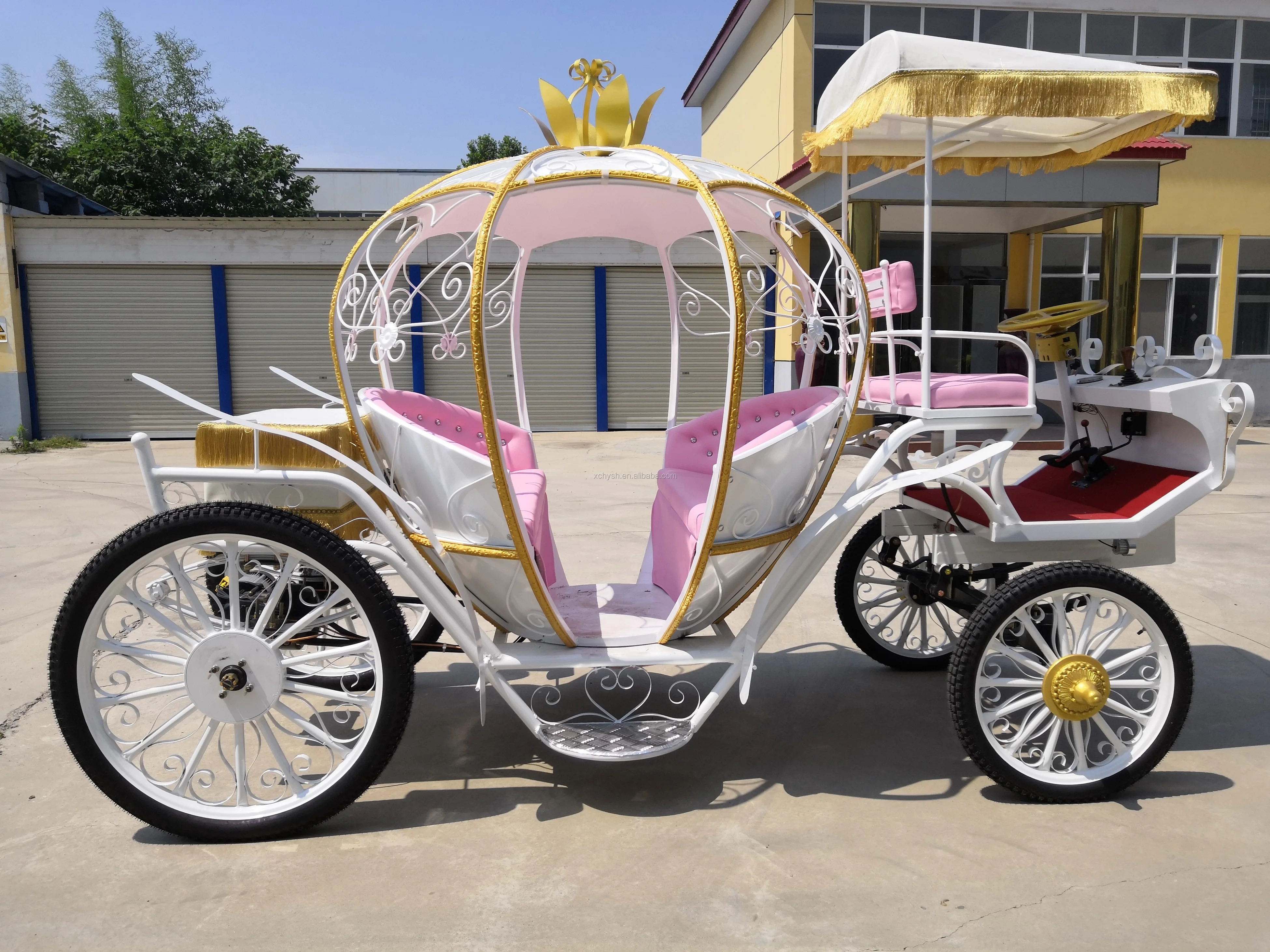 electric princess carriage