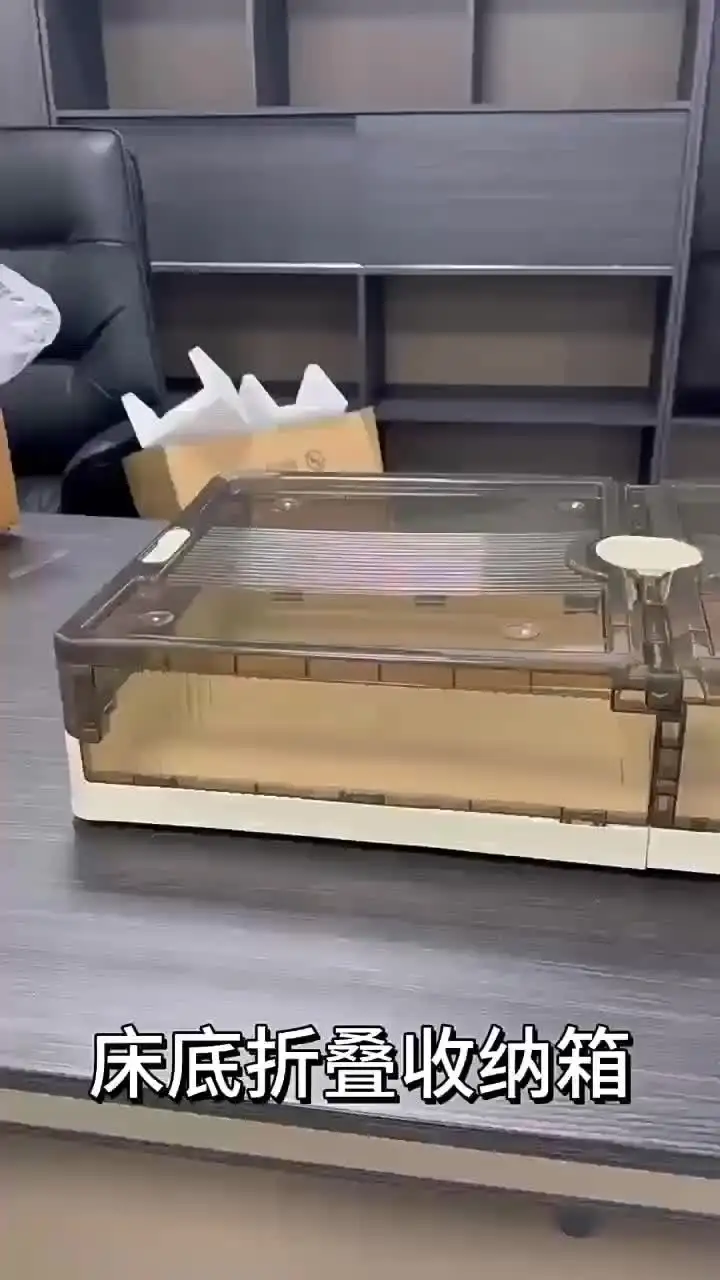 Portaoggetti Sotto Il Letto Organizzatore Di Stoccaggio Del Contenitore