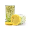 Bean Sprout Jar Mesh Sprouting Glass Mason Jar with Plastic Lid